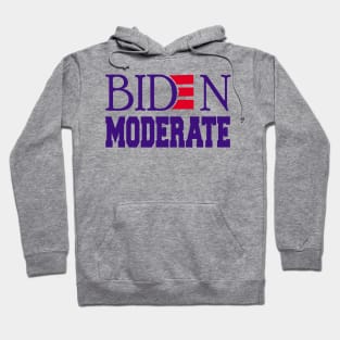 Biden Modreate Hoodie